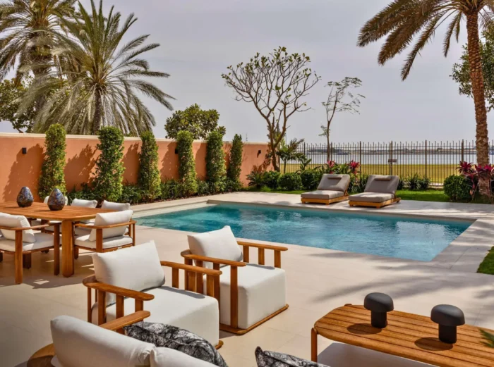 Mangrove - THE AMMARA